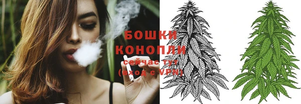 гидропоника Калининец